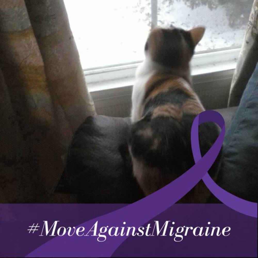 Meet your Posher, Robin